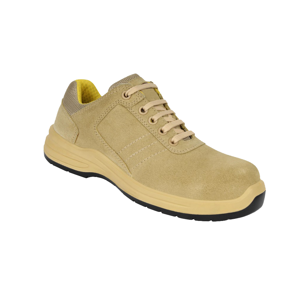 Allen Cooper AC1581
